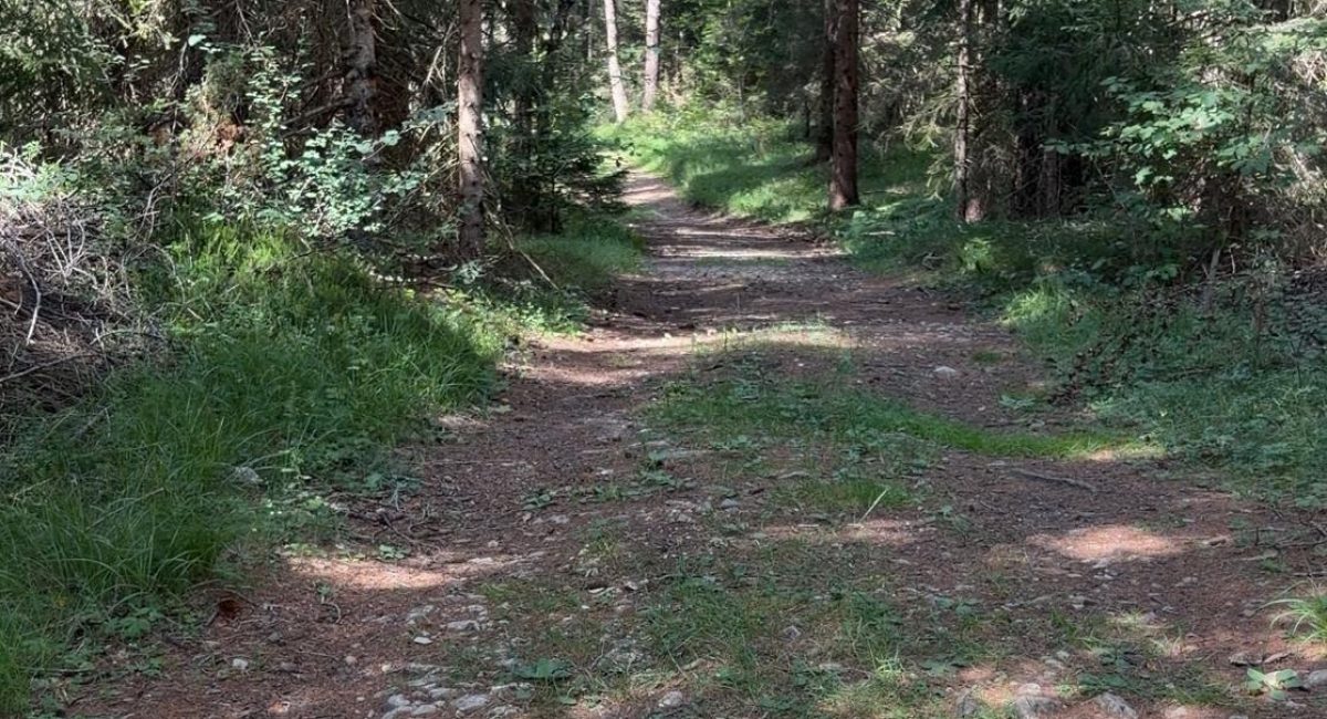 Strada di montagna, il coraggio di prendere decisioni